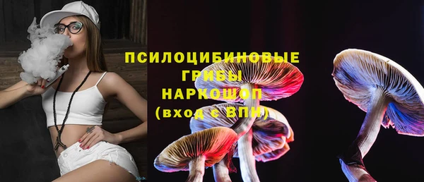 сатива Бугульма
