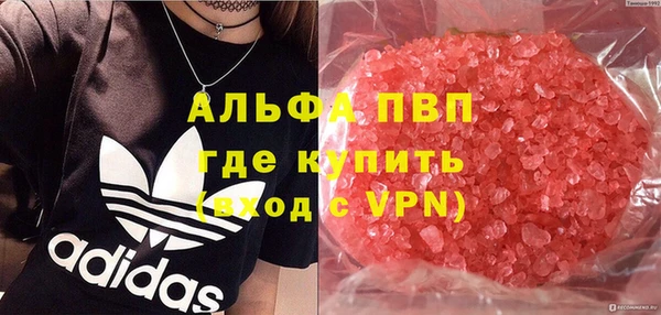 сатива Бугульма