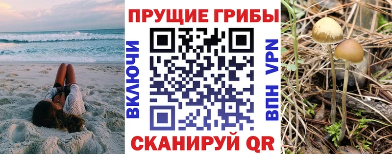 Псилоцибиновые грибы Magic Shrooms  Белебей 
